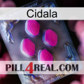 Cidala 02